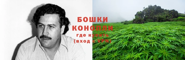 индика Баксан