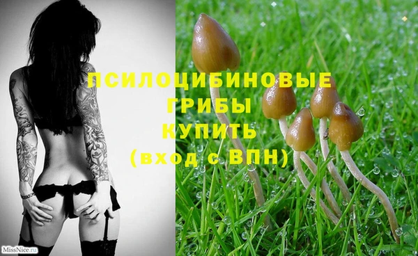 mix Балабаново