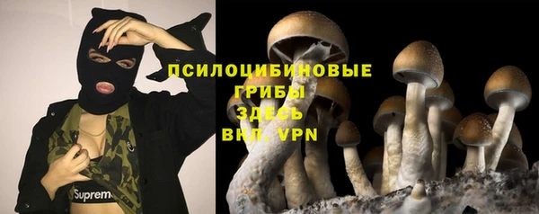 индика Баксан