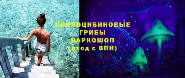 индика Баксан