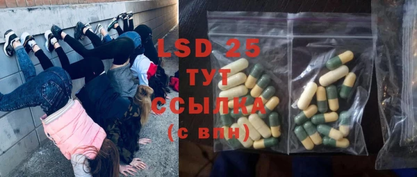 индика Баксан
